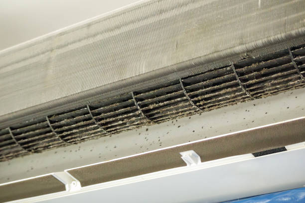Best Duct Cleaning for Homes  in Monon, IN